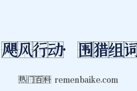 飓风行动·围猎组词是什么意思的图片